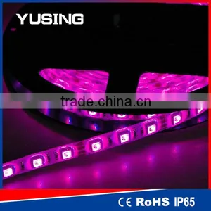 DC 12V/24V 60 LEDs/Meter 5050 SMD Waterproof RGB LED Strip IP68 thumbnail-1