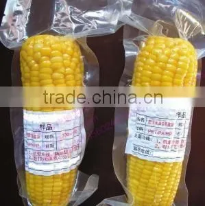 DZ400/2C Double Chamber Vacuum Packing Machine thumbnail-3