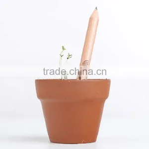Pencil Can be Planted thumbnail-6