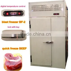 Stainless Steel Blast Freezer for Beef thumbnail-1