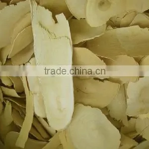 Eurycoma Longifolia Extract thumbnail-1