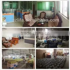 Quanzhou Fengze Lifa Crafts Co., Ltd. company overview - view 1 thumbnail