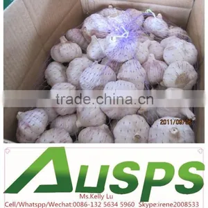 China Garlic Price per Ton thumbnail-1