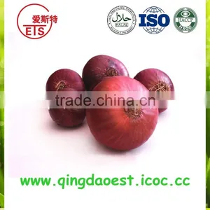 Export Bulk Chinese New Crop Fresh Red Onion thumbnail-1