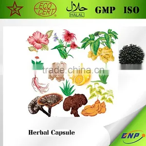 GMP Certified Plant Extract Herbal Extract Capsule thumbnail-1
