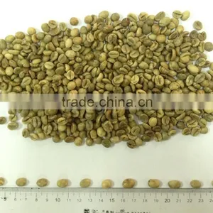 WET POLISHED ROBUSTA GREEN COFFEE BEANS GRADE 1 SCREEN 18 thumbnail-1