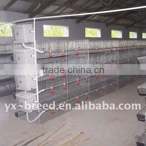 Layer Chicken Cage of Poultry Equipment thumbnail-1