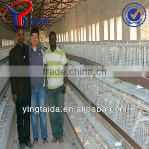 Chicken Cage for Poultry Farm for Nigeria thumbnail-1