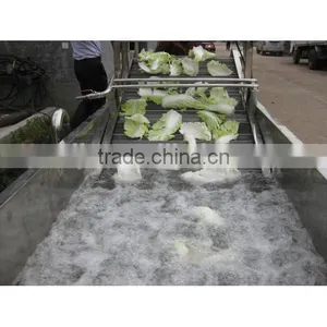 High Efficiency Commercial Vegetable Fruit Washing Equipment thumbnail-2