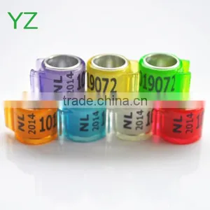 2015 Newest Dutch Pigeon Ring For Sale By YZ Factory EXW Price thumbnail-1
