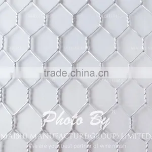 GI Hexagonal Mesh thumbnail-1