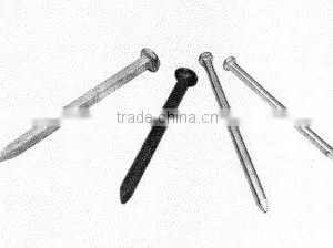 Glvanized Square Boat Nails thumbnail-1