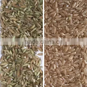 272 Channels Cost-Effective China Rice Color Sorter Supplier thumbnail-4