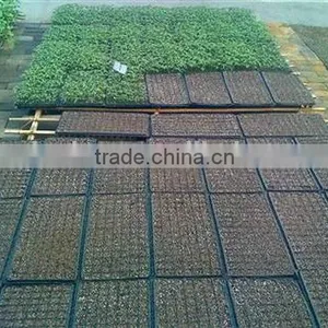 Zhejiang Manufacture High Reflective Growing Systems Trays thumbnail-2