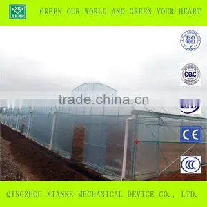 Multi-Span Commercial Agricultural Greenhouse Sales thumbnail-6