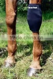 Horse Boots thumbnail-1