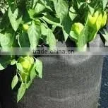 Tomato Grow Pot Smart Pot Non Woven Plant Bag (1 Gal to 1200 Gal) thumbnail-4