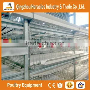 China Factory Price Trade Assurance Chicken Poultry Farm Equipment Layer Cage thumbnail-4
