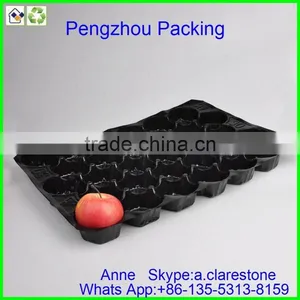 Pengzhou Plastic Compartment Tray With Lid thumbnail-1