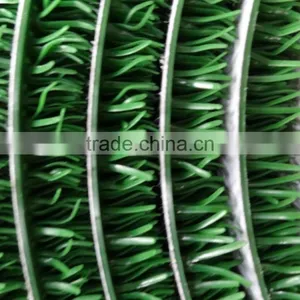 Environmental Protection Gold- Rush Grass thumbnail-3