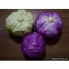 Artificial Vegetable thumbnail-1
