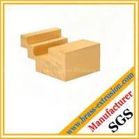 Stairway Floor Brass Extrusion Profile Section thumbnail-2