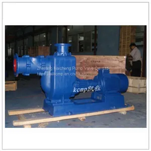 ZW Self Priming Dirty Water Pump thumbnail-3