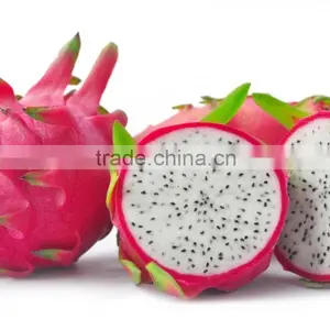 High Quality Fresh Dragon Fruit / Pitaya From Vietnam thumbnail-3