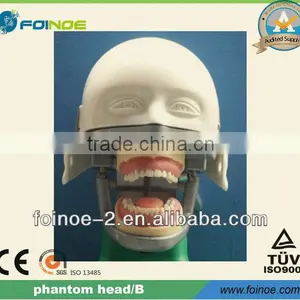 Model:B HOT Selling CE Approved Dental Phantom Head thumbnail-1