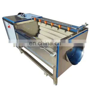 SUS304 Root Vegetable/Round Fruit/Potato/Carrot/Cassava/Taro/Sweet Potato Washing/Washer/Peeling/Peeler Machine for Factory thumbnail-4