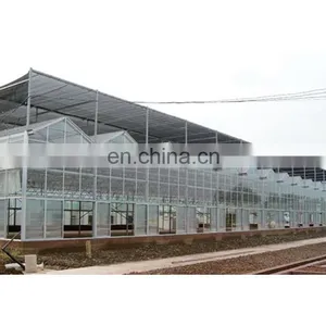 Polycarbonate Thermoplastic Corrugated Transparent Plastic Roofing Tiles Sheets Roofing Tile Roofing s thumbnail-4