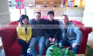 Chengdu Junli Lisaurus Tech Co., Ltd. company overview - view 3 thumbnail