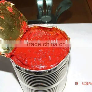 Canned Tomato Paste thumbnail-1