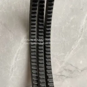 Classcial Cogged V Belt thumbnail-1