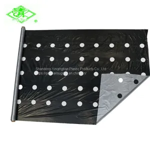 Plastic Mulch Film for Strawberry Planting thumbnail-5