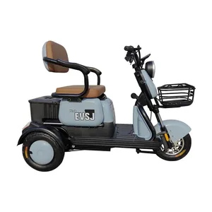 Qualified Ecc Coc 3 Wheel Mini Electric Cars for Adult thumbnail-3