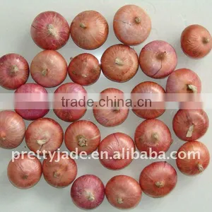 China Fresh Red Onion Wholesale thumbnail-1