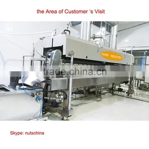 Automatic Continuous Frying Machine thumbnail-1