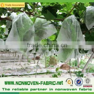 Agriculture pp Spunbond Nonwoven Fabric /agriculture Ground Cover for Plant,flower,fruit Protection thumbnail-4