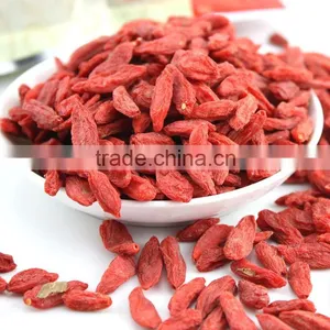 Manufacturer Wholesales Chinese Wolfberry Extract thumbnail-5