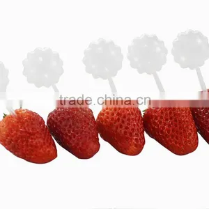 Trade Assurance 30ml Amber Pet Essential Dropper Bottle Essential Oil Bottle With Glass Pipette and Childproof Cap thumbnail-2