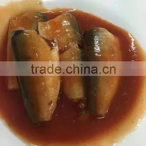 425g Canned Sardine in Tomato Sauce(WW-155) thumbnail-4