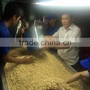 Cashew WS Vietnam thumbnail-1