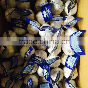 Chinese Shandong Pure White Garlic thumbnail-2