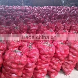 Market Price for Fresh Red Onion thumbnail-1