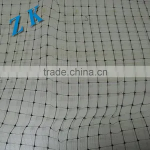 Material PP Knitted Wire Mesh/Plastic Flat Mesh/Plastic Plain Netting From Factory thumbnail-6