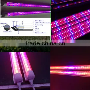 XQD Led Grow Light Full Spectrum Hydroponic thumbnail-1