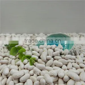 White Kidney Bean thumbnail-4
