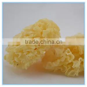 Chinese Chrysanthemum Mushroom Tremella Fuciformis thumbnail-3