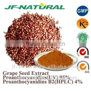Grape Seed Extract-proanthocyanidin Certificated With US GMP, KOSHER, HALAL, ISO, HACCP thumbnail-1
